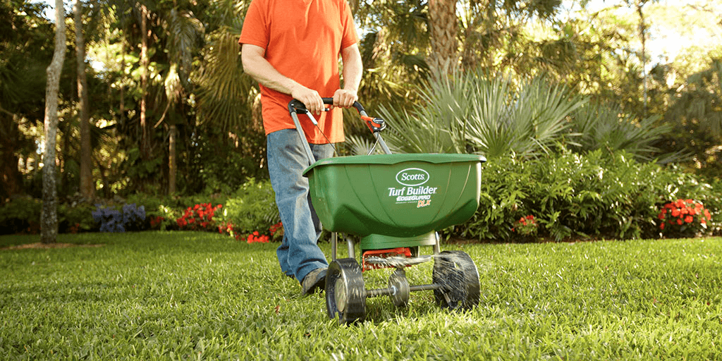 The Best Products for Maintaining a Dog-Friendly Yard