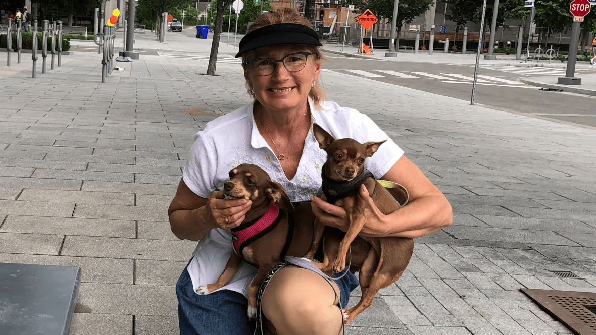 Why Professional Dog Waste Removal is Essential in Toronto's Unique Climate