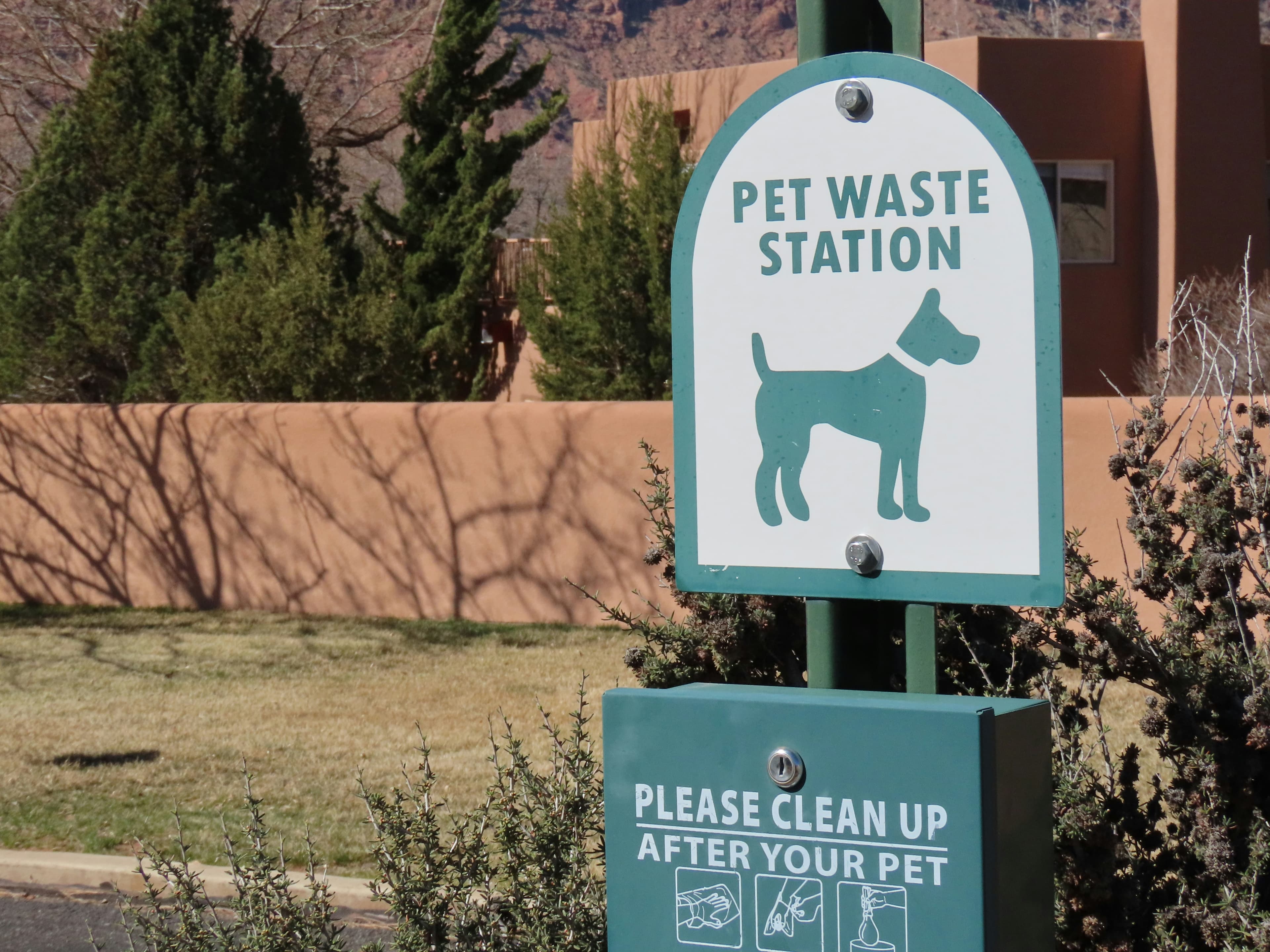 Essential Tips for Maintaining a Clean Yard